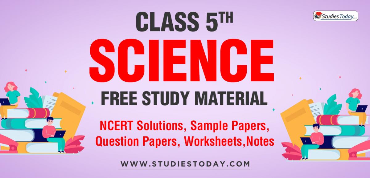 case study science class 5